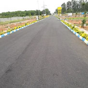 Tar Road